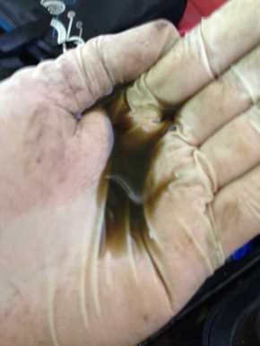 Specialized Modifications